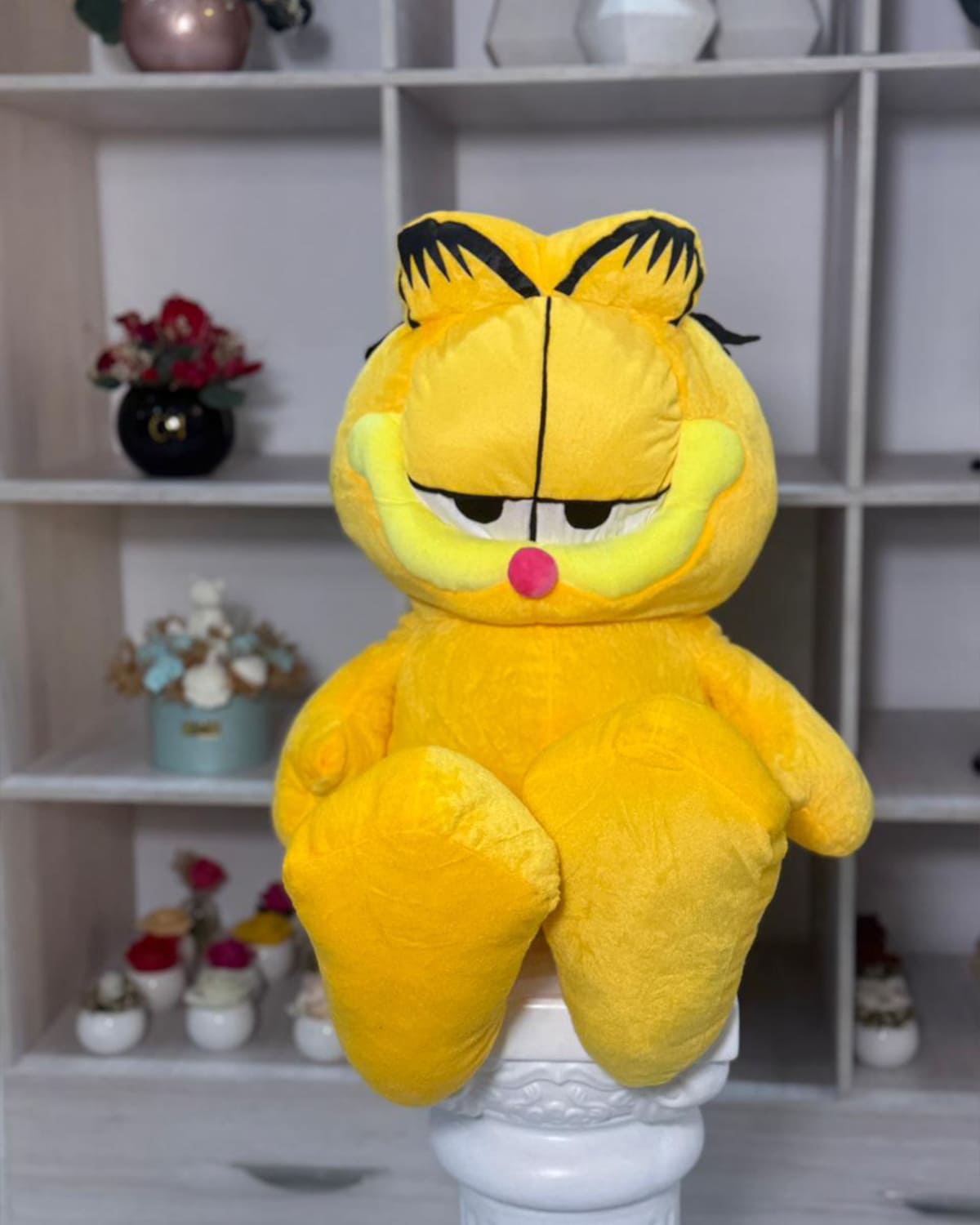Garfield Grande